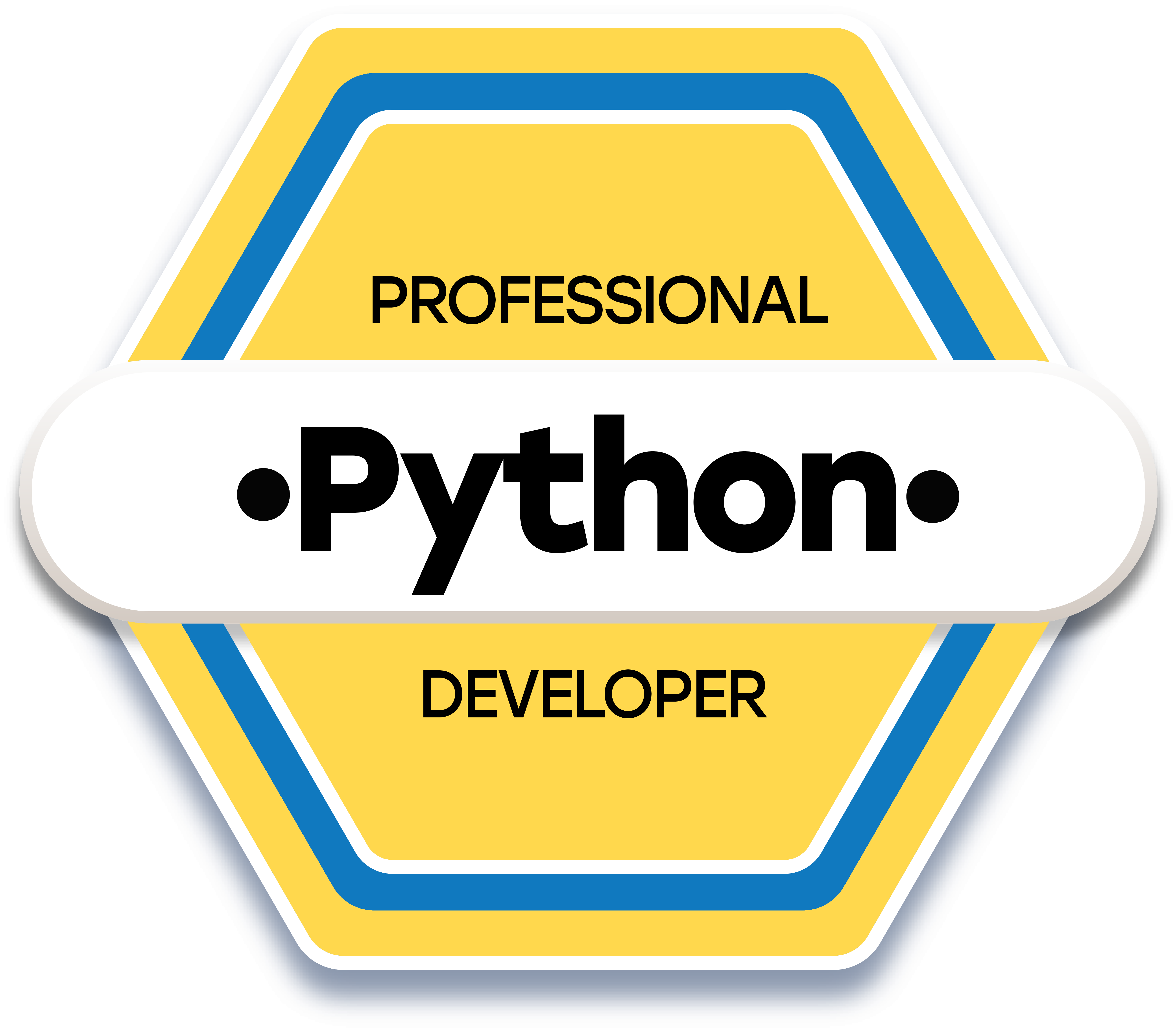 Professional Python Developer